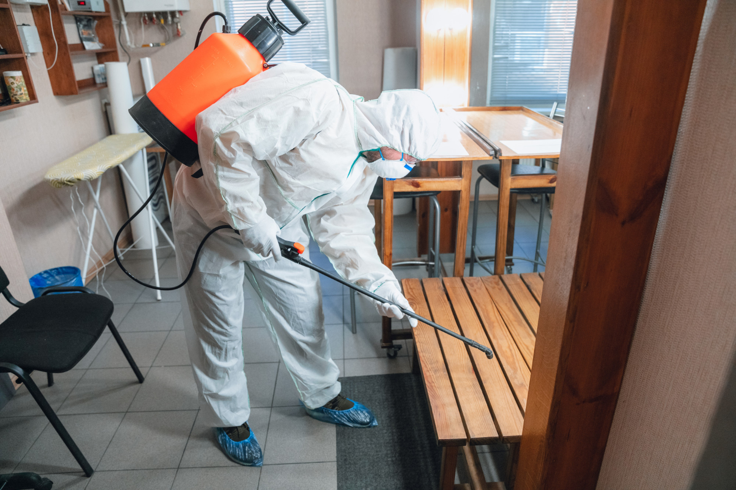 Pest Control Marketing Dubai